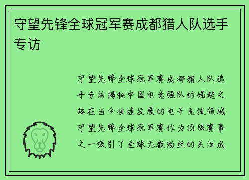 守望先锋全球冠军赛成都猎人队选手专访
