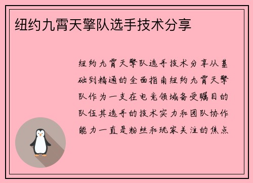 纽约九霄天擎队选手技术分享